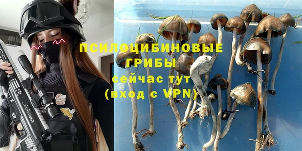 МДПВ Верея