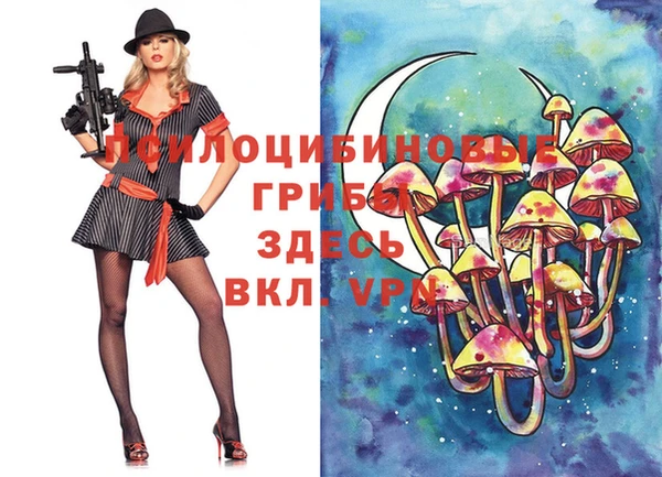 МДПВ Верея